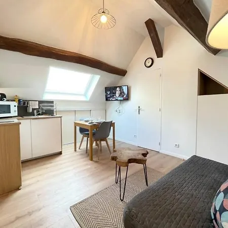 M13 Le Vieux Rer 600 M Orly 20 Min Massy (Essonne)